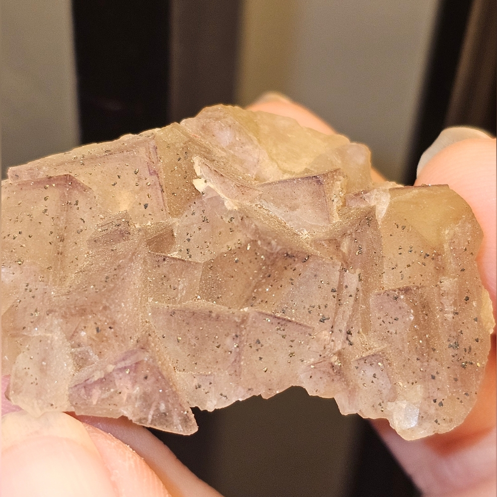 Hermine Fluotite GERMANY